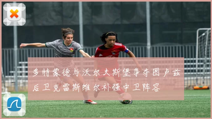 多特蒙德与沃尔夫斯堡争夺图卢兹后卫克雷斯维尔补强中卫阵容